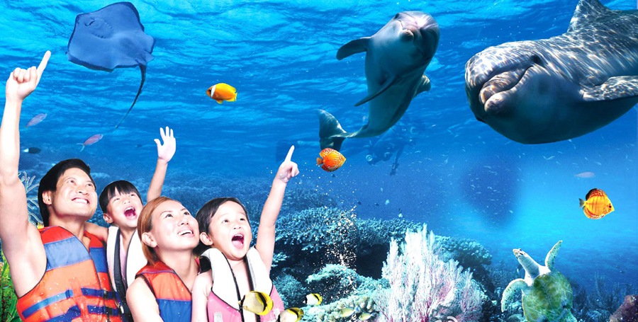 罗源湾海洋世界,领略海底风光海洋世界分为浅海珊瑚礁区、儿童互动区、海洋科普区 、梦幻水母宫区、大洋区、热带雨林区、两栖动物区、海洋表演剧场等八大主题区域。罗源湾海洋世界热情狂野的祭祀舞蹈、真刀实枪的近身肉搏、高空钢丝打斗、自由花式降落、生死转轮、扣人心弦的殊死搏斗、伴随神龙的腾空而起,爆发出气势恢宏的大海啸,都将在8200平方米的空间上演,带您领略空中翱翔、海上冲锋陷阵的酣畅淋漓。