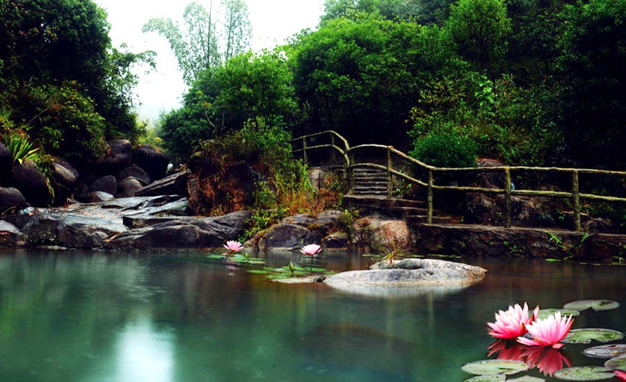 广东| 潮州 紫莲森林度假村,拥抱郁葱自然