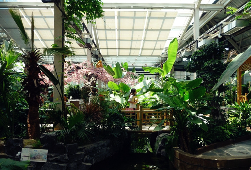 光合谷温泉自助餐