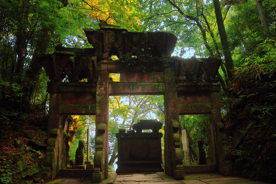 四川| 雅安 蒙顶山景区,漫步穿梭林间云端