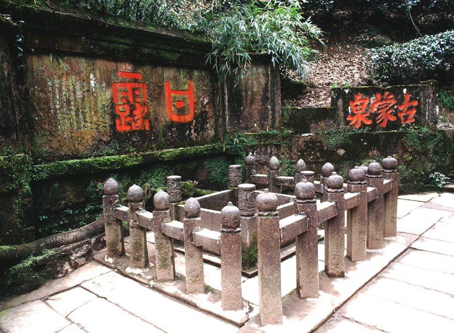 四川| 雅安 蒙顶山景区,漫步穿梭林间云端
