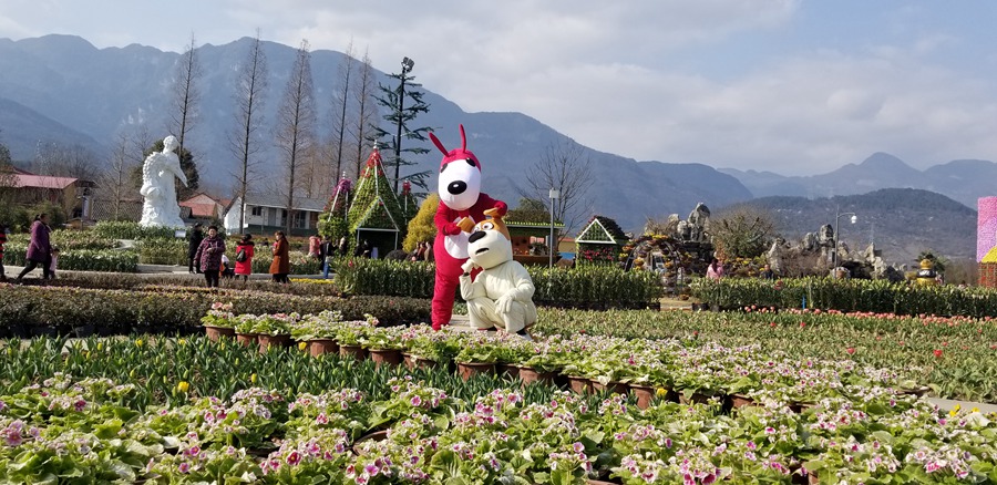 四川| 绵阳 百年好合爱情谷,浪漫从天而降