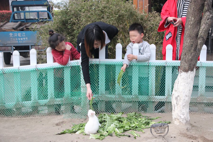 1、早餐丰富多样美味,较受欢迎,为保证能品尝到更多美食,请尽早用餐; 2、睡前到湖边散步,感受着阵阵凉爽的微风;或早上起来晨跑,呼吸新鲜空气; 3、入住期间到水博园参观,或到附近的太子湾公园、西溪湿地公园、吴山广场、仁寿山公园、双溪竹海、玉泉游玩; 4、酒店距杭州西湖半小时车程,距杭州萧山国际机场20.