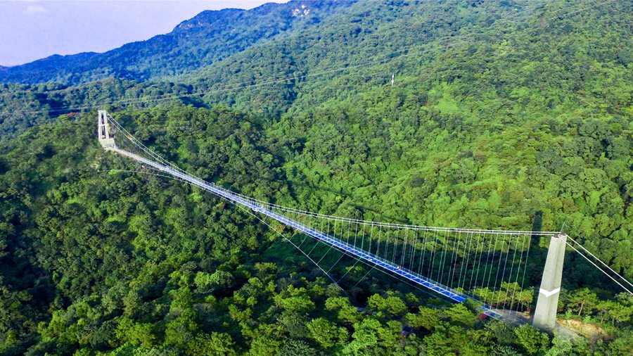 广东| 佛山 南丹山森林王国,近距离接触雨林