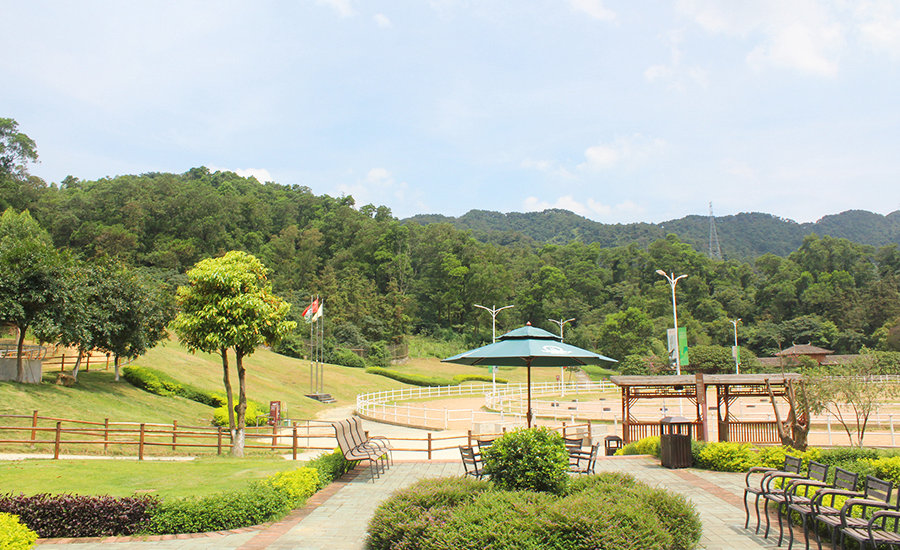 御盛国际马术度假区座落于广州市花都区赤坭镇锦山村,景区以"马文化"