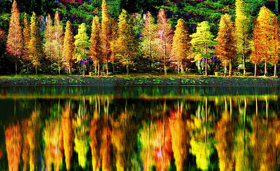 这里丰富的大自然的颜色给您直观的感受,不管您哪个季节到来,这里都能