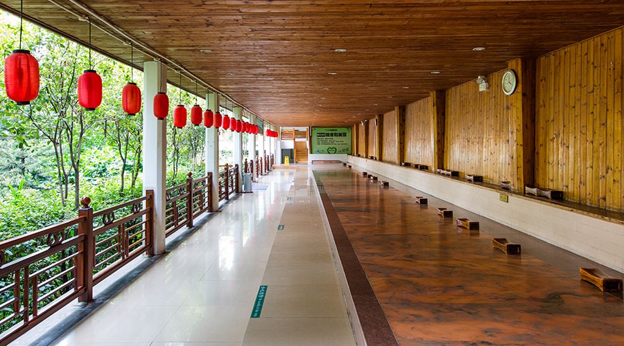 廣東| 清遠 新銀盞溫泉度假村,養生休閒遊