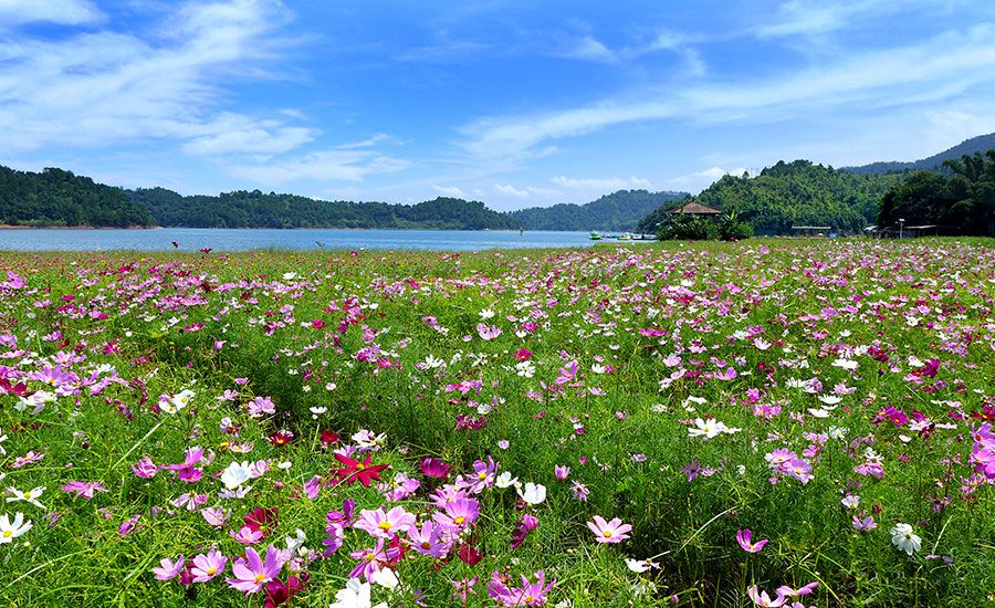 广东| 河源 万绿谷休闲度假旅游区,旷世胜景