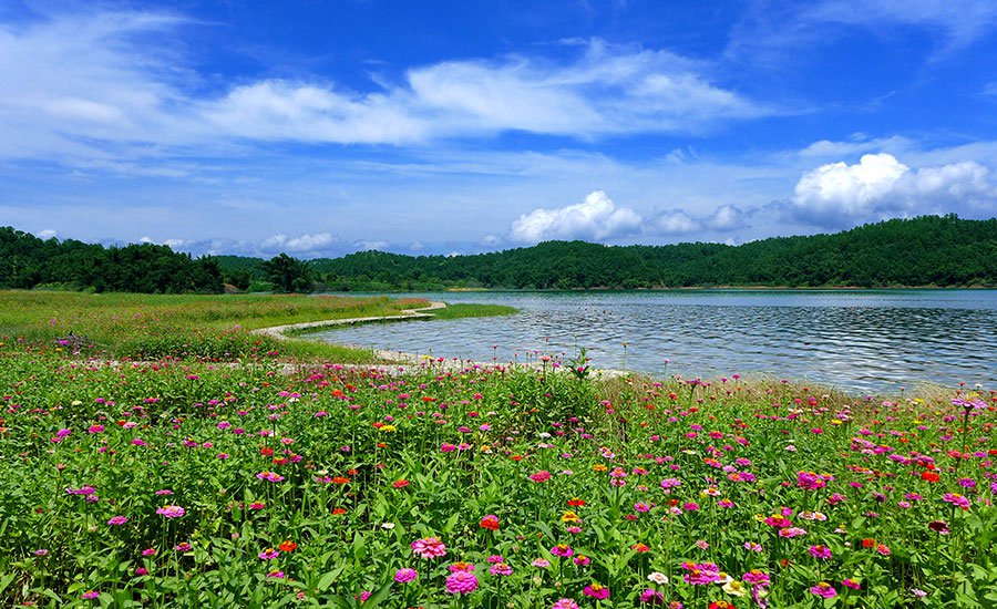 广东| 河源 万绿谷休闲度假旅游区,旷世胜景