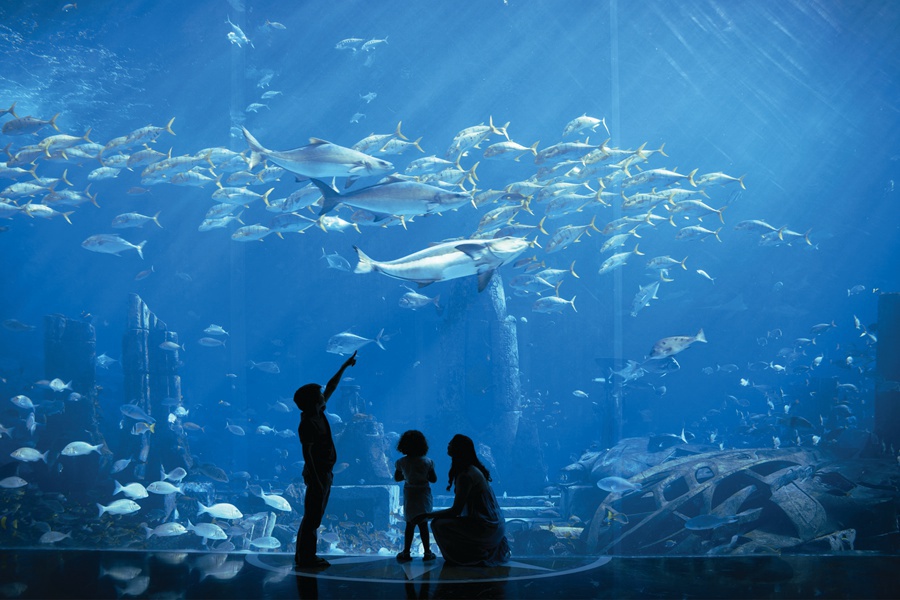 三亚亚特兰蒂斯失落的空间水族馆预订地址价格查询 【要出发， 有品质的旅行】 
