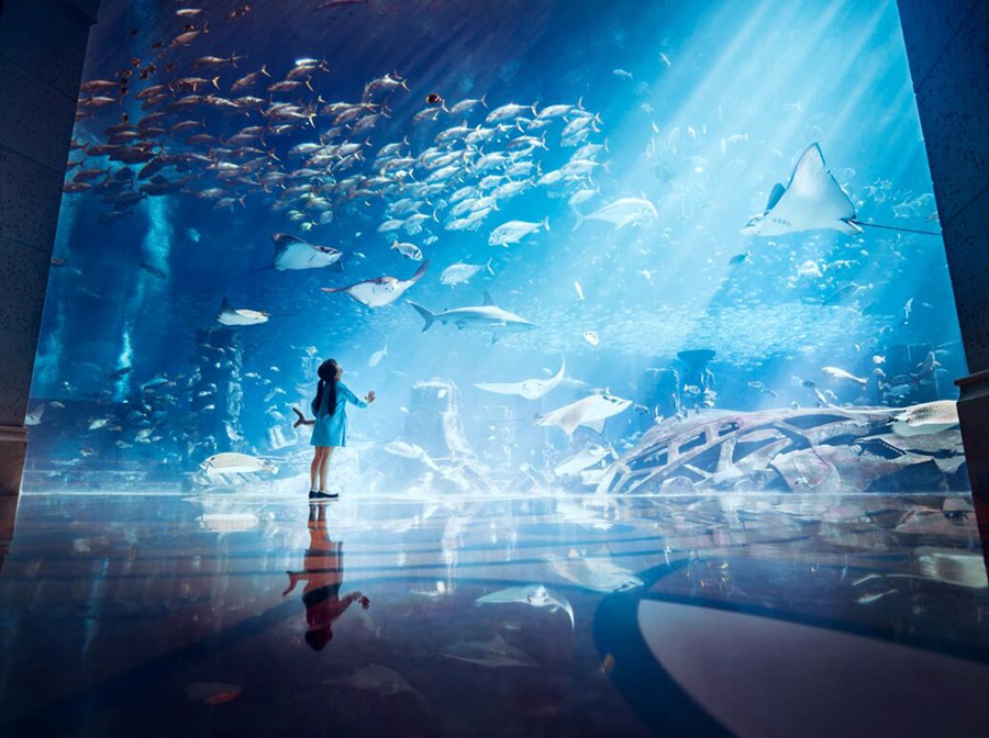 三亚亚特兰蒂斯失落的空间水族馆预订地址价格查询 【要出发， 有品质的旅行】 