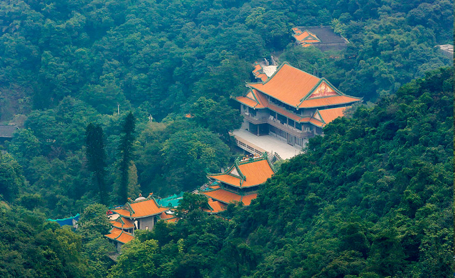 佛山南海湾森林生态园景点门票_金运旅行网