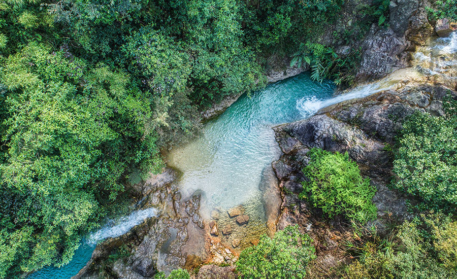 广东| 佛山 南海湾森林生态园,休闲之旅