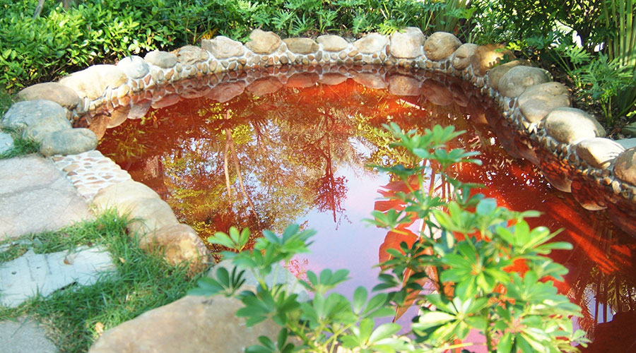 【错峰优惠】广州从化东方夏湾拿酒店2天1晚套餐 (住宿1晚 自助早餐