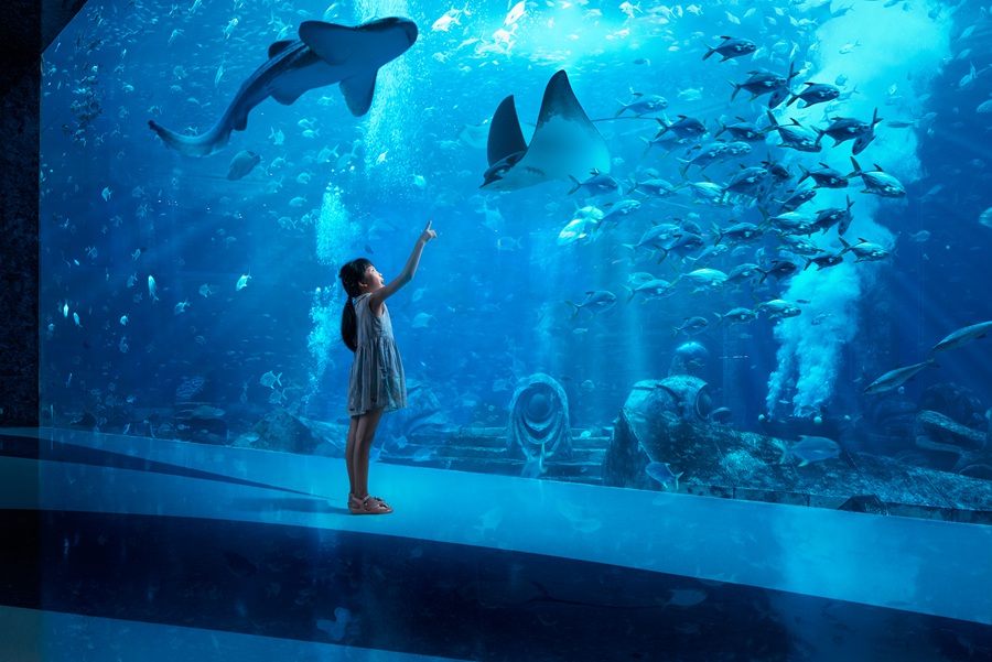 三亚亚特兰蒂斯失落的空间水族馆预订地址价格查询 【要出发， 有品质的旅行】 