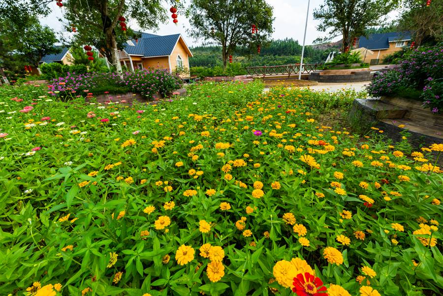 英德徐家庄门票