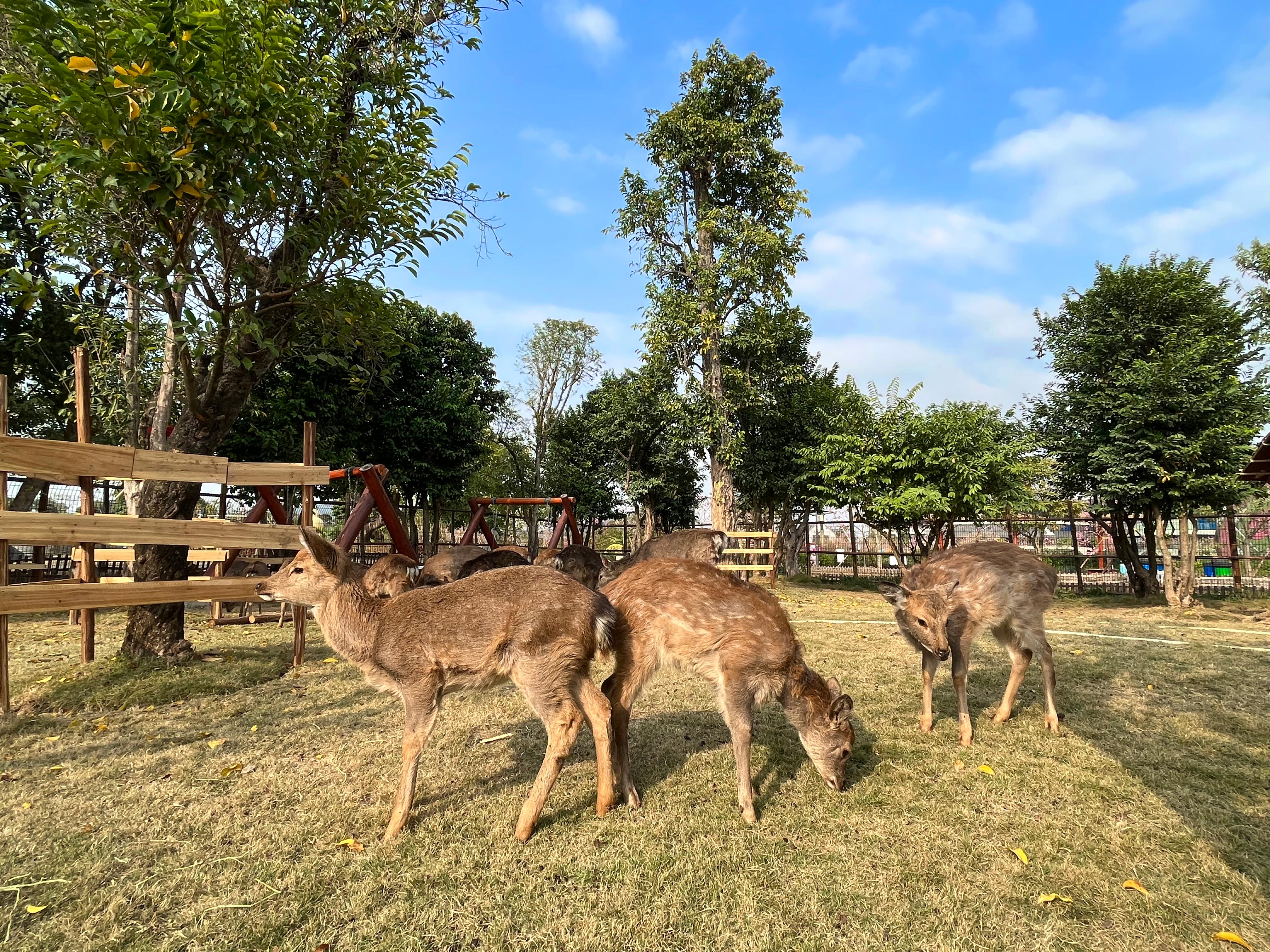 珠海嶺南大地百草園 - 門票 - 當地玩樂 - 華逸旅遊 - 千里之行 始於