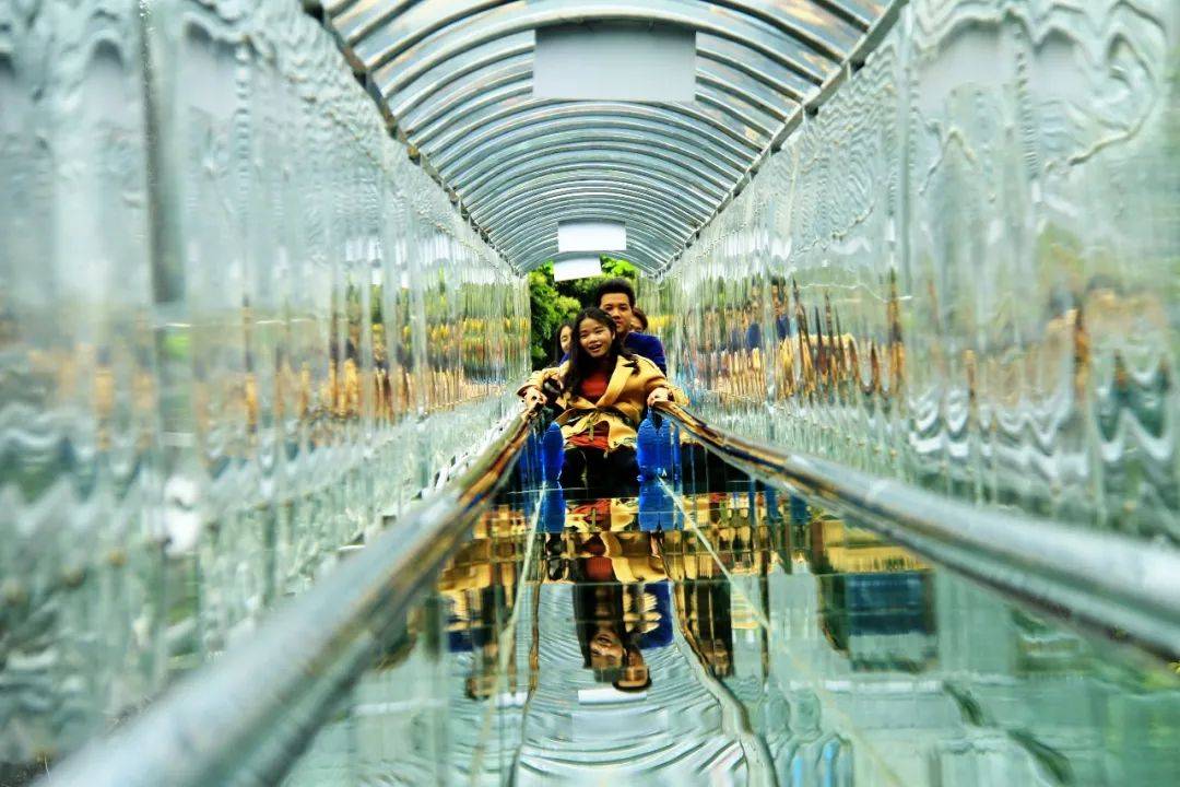 广东| 佛山 南丹山森林王国,近距离接触雨林