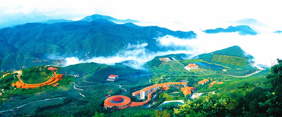 梅州雁南飞茶田景区游玩攻略：门票、开放时间与建议路线