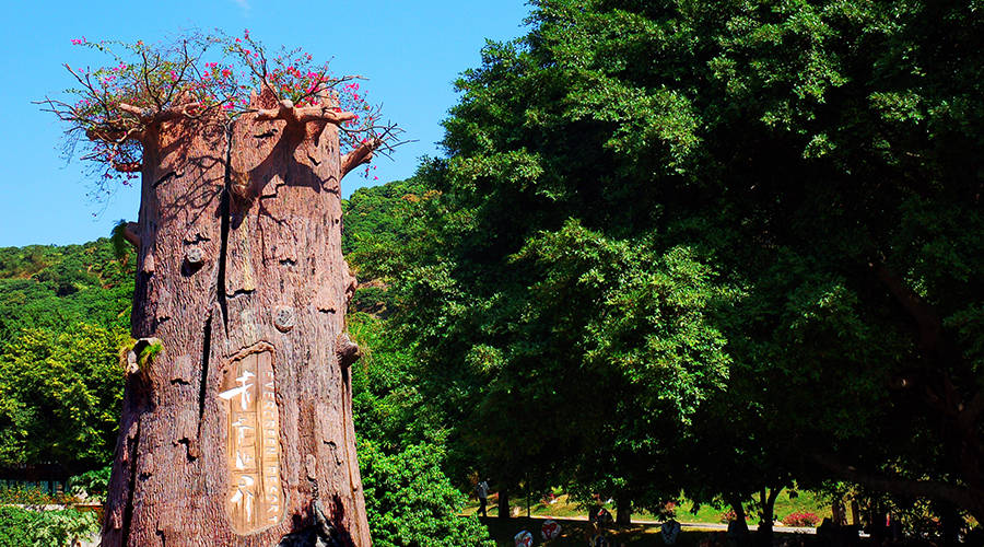 深圳青青世界预订_地址_价格查询-【要出发, 有品质的旅行】